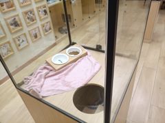 -袖虎猫馆(十亩地店)