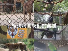-贵州森林野生动物园