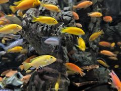 -太平洋海底世界