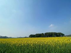 -中国天府农业博览园