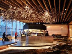 -Seesaw Coffee(朝阳大悦城店)