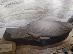 -白鹤梁水下博物馆