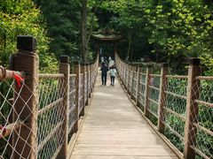 -凤栖山