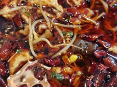 -重庆石磨豆花庄(乔庄店)