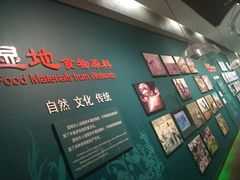 景点-中国湿地博物馆