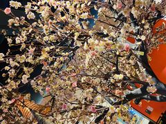 桃花树-蜜桃餐厅·伴山(绿宝广场店)