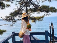 -船歌·鱼水饺青岛菜(闽江二路店)