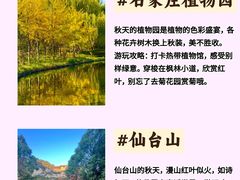 -石家庄市植物园