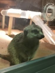 点击看大图 -酷嗒动物文化乐园(cutezoo西溪乐天城店)