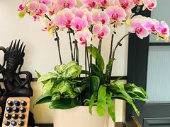 -Angkor SPA 柬埔寨古法按摩(环贸店)