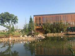 -田园东方蜜桃村的田野营地
