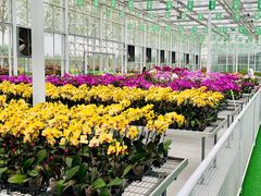 -兰陵国家农业公园