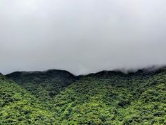 -梧桐山风景名胜区
