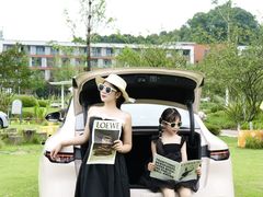 -铁山坪森林公园