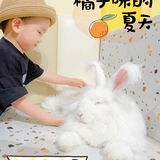 郑州探店｜打卡爱玩萌兔体验馆