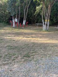 -浅山蜜塘奇妙乐园·亲子营地