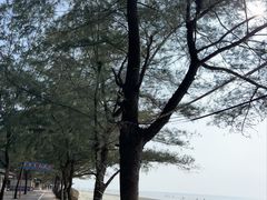 -江山半岛白浪滩景区