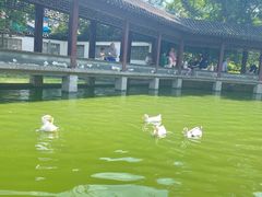 -团结湖公园