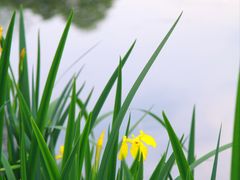 -杭州植物园