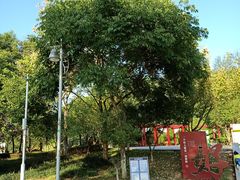 -太子山公园(园东路)