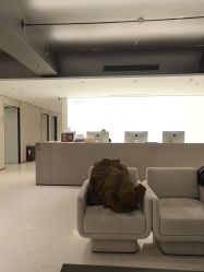 -上海时光整形外科医院