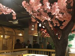 -香坝坝鲜鱼火锅(春熙路店)