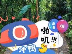 -莫里热带雨林景区
