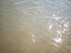 -碧海金沙