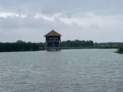 -宁波杭州湾国家湿地公园
