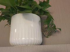 -漫·汤泉