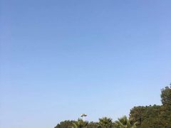 -桐乡植物园