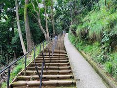 -岚山猴子公园