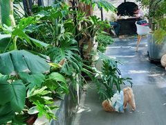 -北马山庄植趣咖啡