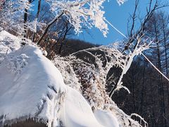 -五家山森林公园滑雪场