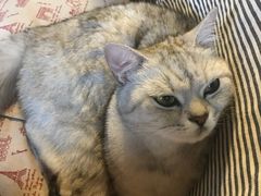 -不舍昼夜咖啡馆