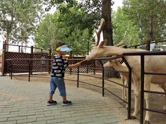 -北戴河集发农业梦想王国