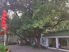 -荔湾湖公园