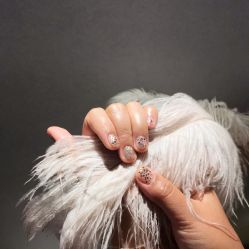 -雪儿·YuKi美甲美睫皮肤管理Salon