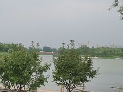 -马家湾湿地公园