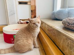 -Catmate·猫肥家润(金润铂宫店)