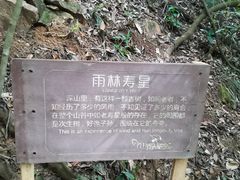 -大余丫山旅游度假区