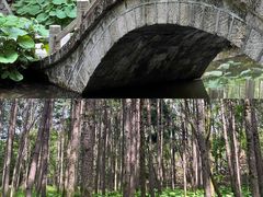 -洛阳白云山景区