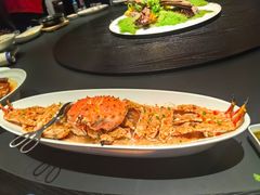 -三强鸽子(中原路店)