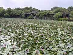 -粤晖园