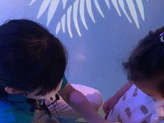 -沈阳海洋探索中心