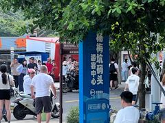 -杨梅坑