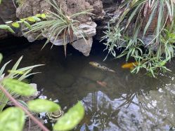 -爱贝乐妈咪月子中心