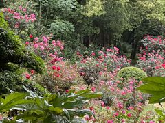-东湖落雁景区
