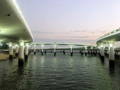 -演武大桥观景平台