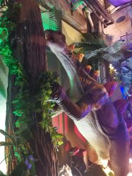 -恐龙探索乐园(磁器口店)